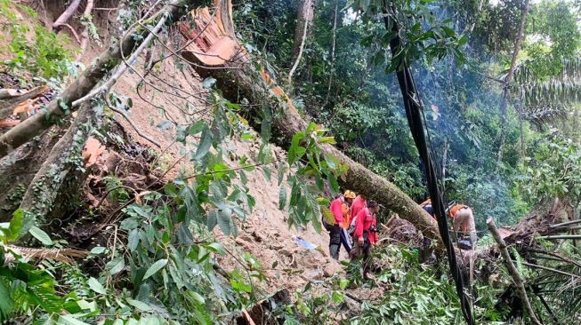 Tanah Longsor Susulan di Sukamade Banyuwangi, Jalan Tertutup Sebabkan 300 KK Terisolir