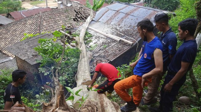 Pohon Tumbang Menimpa Dua Rumah Warga di Sumur Putri, BPBD: Tidak Ada Korban Jiwa