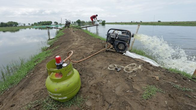 Petambak memeriksa mesin pompa air yang dimodifikasi menggunakan bahan bakar gas LPG di Desa Wanantara, Sindang, Indramayu, Jawa Barat, Jumat (14/10/2022).  ANTARA FOTO/Dedhez Anggara