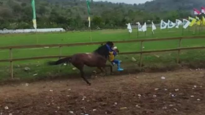 Joki Cilik di Bima Bergelantungan Dan Jatuh dari Kuda Pacuan Dalam Acara Wali Kota Cup