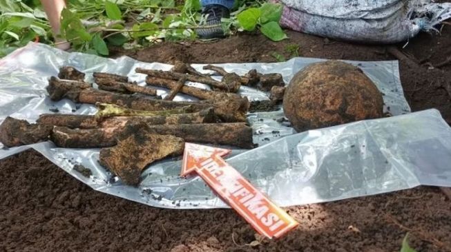 Misteri Kerangka Manusia di Lahan Tebu Probolinggo: Petunjuk Tersembunyi di Balik Tulang Belulang