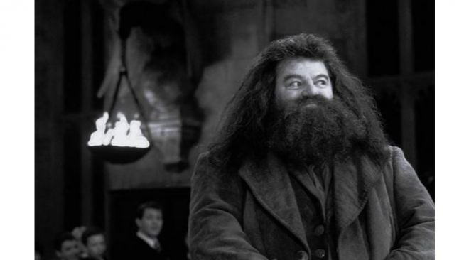 Robbie Coltrane Pemeran Hagrid dalam Film Harry Potter Tutup Usia, Begini Sosoknya di Mata Seniman Hollywood