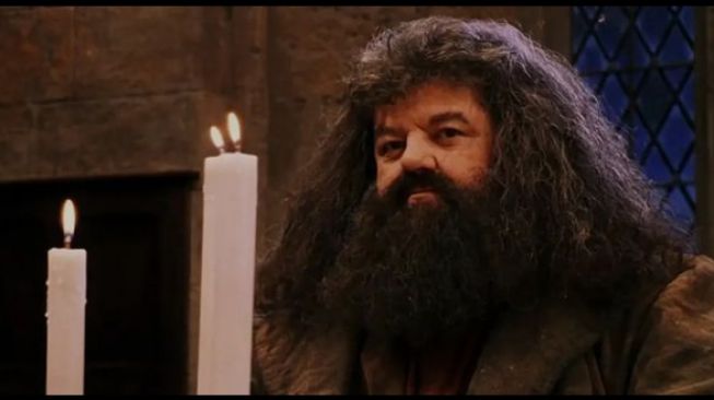 Robbie Coltrane pemeran Hagrid di film Harry Potter [Instagram/@robbiecoltraneactor]
