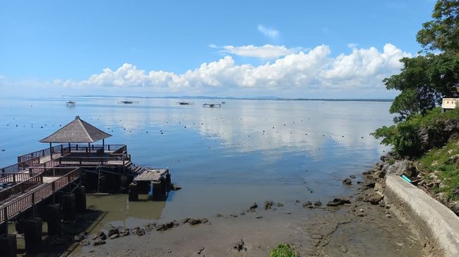 Rumput Laut di Pantai Tanjung Pallette Rusak Keindahan Wisata