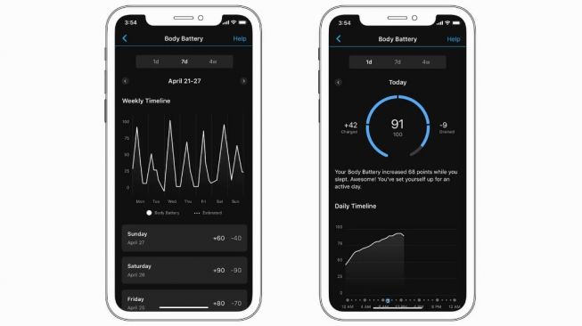 Garmin Body Battery TM. [Garmin]