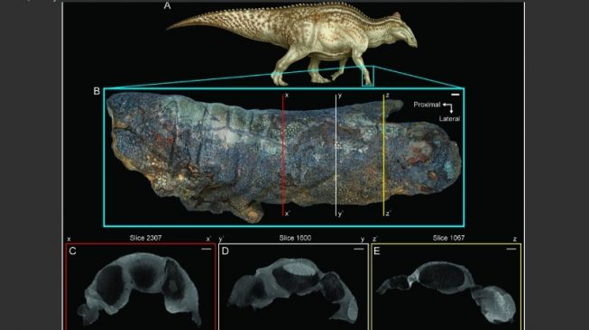 Edmontosaurus. [PLOS.org]  