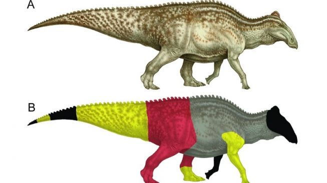 Edmontosaurus. [PLOS.org] 