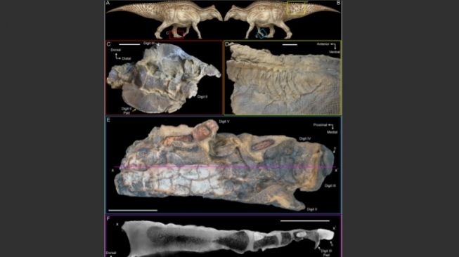 Edmontosaurus. [PLOS.org]  