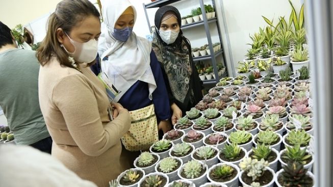 Tanaman Hias Langka nan Unik di FLOII Convex 2022, Dilelang dengan Harga di Atas Rp 100 Juta