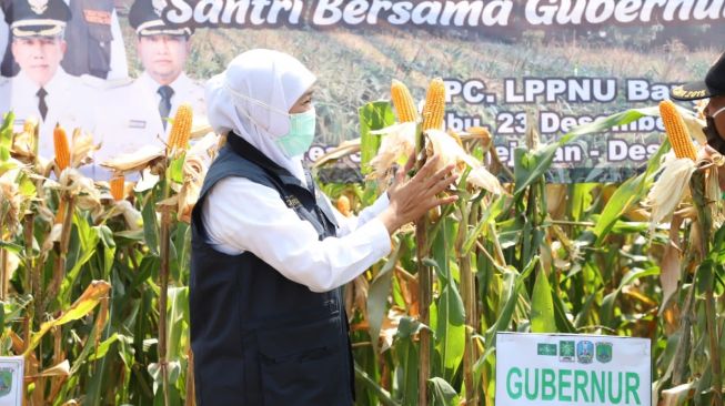 Peringati Hari Pangan Sedunia, Khofifah: Perkuat Jatim sebagai Lumbung Pangan Nasional