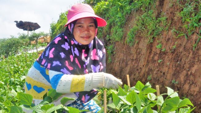 Hari Pangan Sedunia 2022, FAO Soroti Dampak Krisis Pangan Bagi Masyarakat Miskin dan Rentan