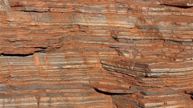 Sedimen di Taman Nasional Australia. [Universitas Utrecht ]