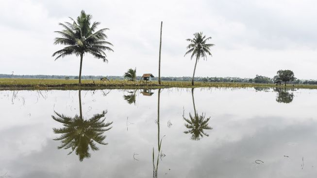 Lahan pertanian terendam banjir di Desa Ciganjeng, Kecamatan Padaherang, Kabupaten Pangandaran, Jawa Barat, Selasa (18/10/2022).  ANTARA FOTO/Adeng Bustomi