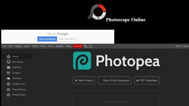 Situs Photoscape Online. (Screenshot)