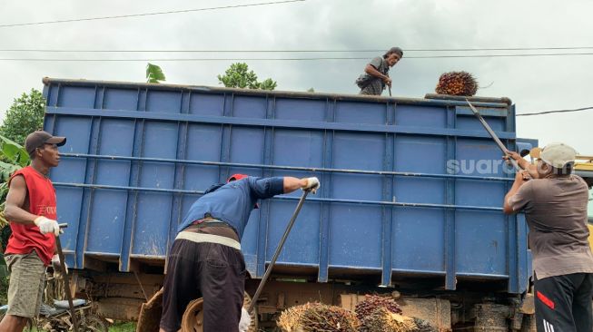 Petani di Musi Banyuasin, Sumatera Selatan [Suara.com/Tasmalinda]