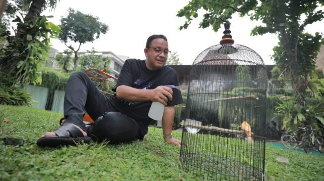 Anies Baswedan menghabiskan sejumlah kegiatan saat hari pertama lengser sebagai Gubernur Jakarta, Senin (17/10/2022). Salah satunya memandikan burung peliharaan. (Foto ist/ instagram @aniesbaswedan)