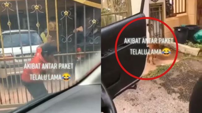 Cosplay Jadi Spiderman Akibat Antar Paket Terlalu Lama, Kurir Ini Jadi Sasaran Kejaran Anjing Komplek