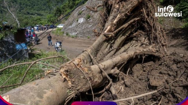 Akses Jalan Sulteng-Gorontalo Terputus Akibat Jembatan Ambrol