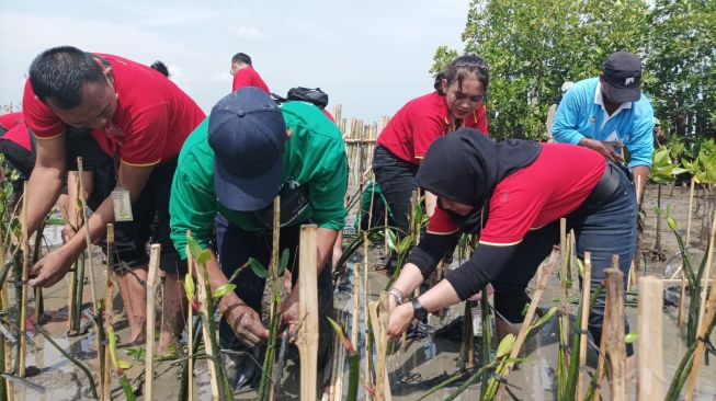 Ikut Jaga Lingkungan, Alfamart Tanam Mangrove di Pantai Utara Kota Semarang