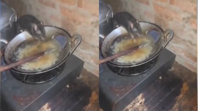 Tepergok, Tikus di Dapur Ini Tetap Santai Nyeruput Air dalam Wajan