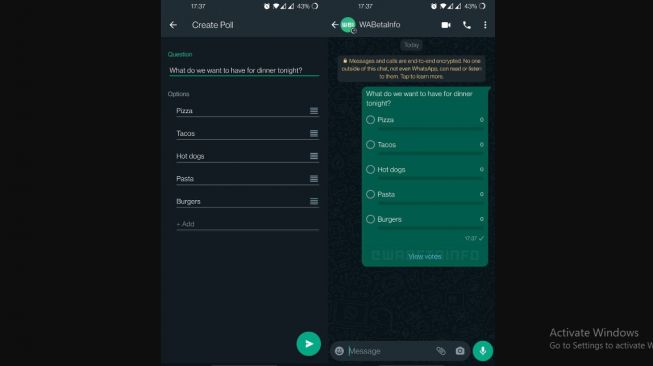 Uji coba fitur baru WhatsApp, membuat poling dalam chat personal. [WABetaInfo]