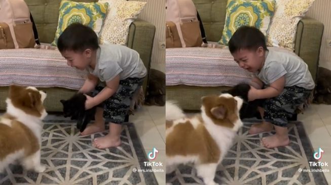 Momen Baby Air Rumi Anak Irish Bella Nangis Diganggu Anjing (TikTok/@mrs.irishbella)