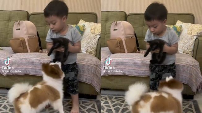 Momen Baby Air Rumi Anak Irish Bella Nangis Diganggu Anjing (TikTok/@mrs.irishbella)