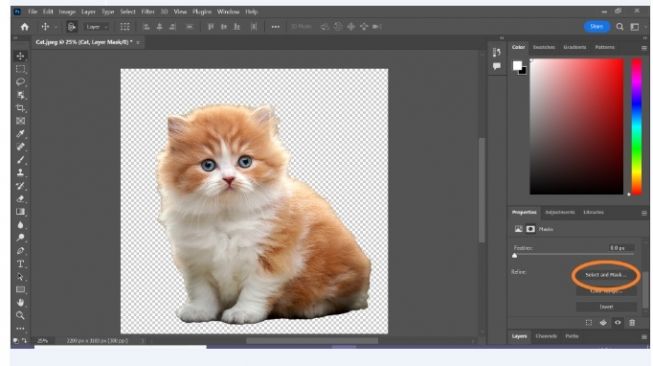 Tampilan di Photoshop [trustedreviews]