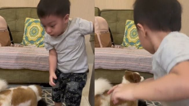 Momen Baby Air Rumi Anak Irish Bella Nangis Diganggu Anjing (TikTok/@mrs.irishbella)