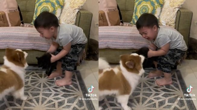 Momen Baby Air Rumi Anak Irish Bella Nangis Diganggu Anjing (TikTok/@mrs.irishbella)