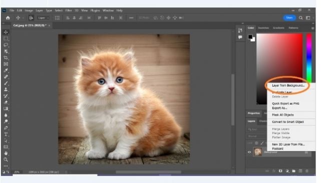 Tampilan di Photoshop [trustedreviews]