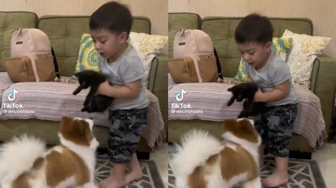 Momen Baby Air Rumi Anak Irish Bella Nangis Diganggu Anjing (TikTok/@mrs.irishbella)