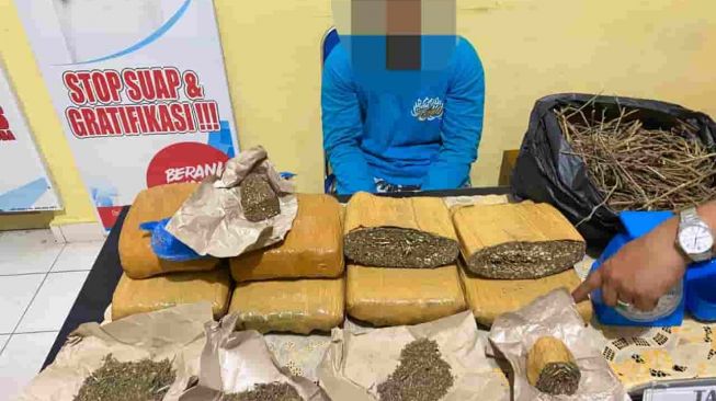 Pelajar SMA di Sumsel Bawa Ganja 7 Kilogram, Dikirim Bandar di Padang