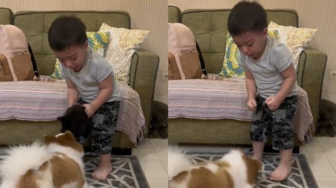 Momen Baby Air Rumi Anak Irish Bella Nangis Diganggu Anjing (TikTok/@mrs.irishbella)