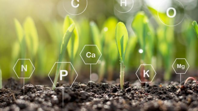 Mengenal Carbon Farming: Teknik Pertanian yang Bisa Selamatkan Lingkungan
