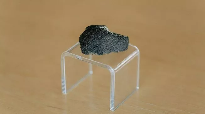 Meteorit Lafayette. [Purdue University]