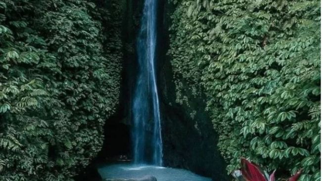 Mitos Air Terjun Kipuan Kebo di Baturiti, Tempat Mandi Kerbau Tak Bertuan