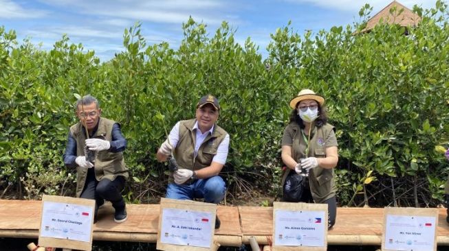 Kabupaten Tangerang Hadirkan Ketapang Urban Aquaculture, Ekosistem Mangrove untuk Entaskan Banjir di Pesisir