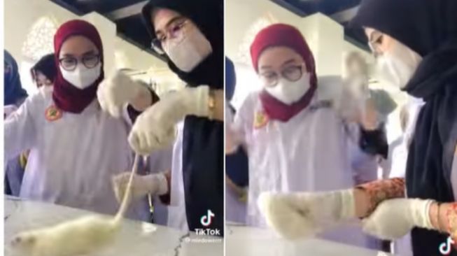 Praktek Biologi dengan Tikus, Mahasiswi Ini Bikin Heboh di Ruang Lab