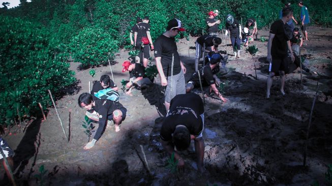 Acara FDR Day 2019 juga diisi acara menanam mangrove [FDR].