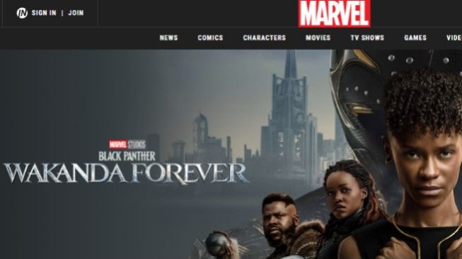 Sinopsis Black Panther: Wakanda Forever, Tayang 9 November di Bioskop