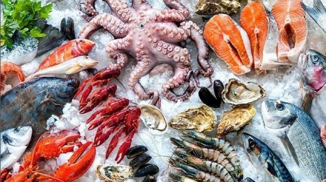 Ingin Punya Frozeen Seafood Kualitas Super, Begini Cara Mengelola Gudang Beku yang Baik