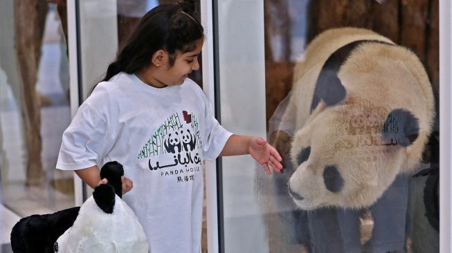 Seorang anak bermain dengan panda raksasa China dari balik kaca pelindung di Panda House di Al Khor, Qatar, Rabu (19/10/2022). [DENOUR/AFP]