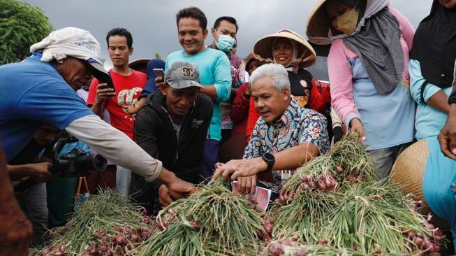 Jamin Petani Dapatkan Akses Pupuk Bersubsidi, Ganjar Buat Posko Pelayanan dan Aduan