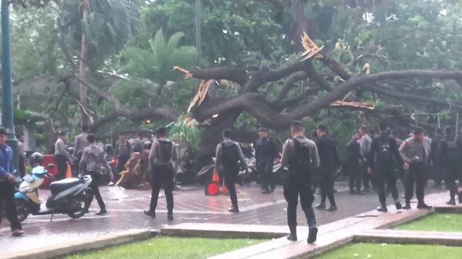 Sebuah pohon besar di halaman Balai Kota DKI Jakarta timbang dan menimpa polisi, Kamis (10/11/2022). [Suara.com/Fakhri]