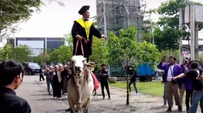 Kisah Anggit Setiawan, Mahasiswa Univet Sukoharjo yang Viral Usai Tunggangi Sapi ke Acara Wisuda