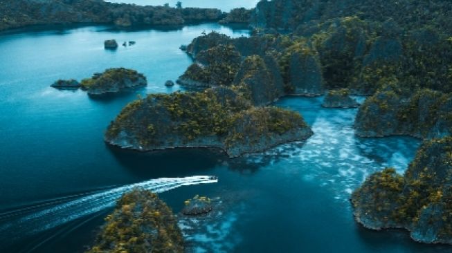 Ini Profil 3 Provinsi di Papua yang Baru Diresmikan, Kekayaan Alam Melimpah!
