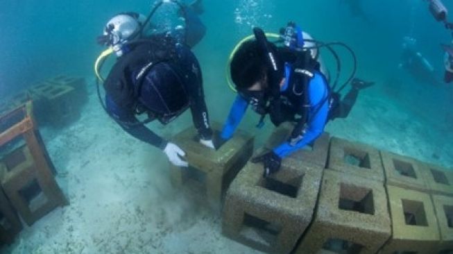 Tim pemantau lingkungan laut Harita menyusun terumbu karang di perairan Obi. (Dok: Harita Nickel)