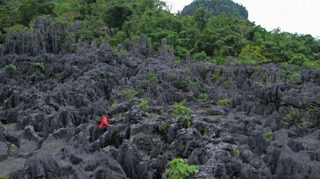 Pengunjung melintas di area Taman Batu Karst Balocci di Kabupaten Pangkajene Kepulauan (Pangkep), Sulawesi Selatan, Minggu (13/11/2022). [ANTARA FOTO/Arnas Padda/foc]