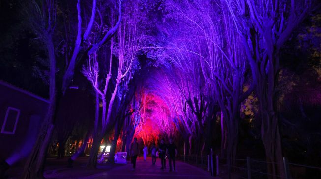 Warga Saudi menghadiri festival cahaya Noor Riyadh yang diadakan di Taman Al-Salam, Riyadh, Saudi Arabia, Kamis (3/11/2022). [Fayez Nureldine / AFP]